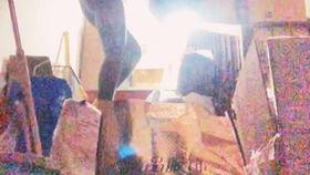 国产三花视频,绽放民族品牌魅力，引领花卉产业新风尚