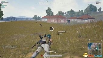 国产战术视频大全,揭秘实战技巧与策略解析