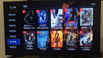 国产5000部部视频,5000部佳片汇聚光影传奇