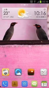 国产爱情鸟图片高清视频,高清视觉盛宴中的浪漫演绎