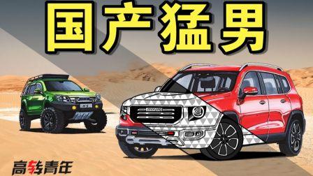 国产车全部合集视频下载