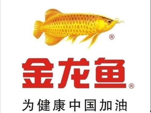 国产金龙鱼繁殖视频