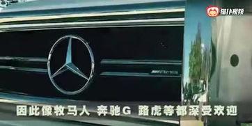 国产汽车驾驶视频大全  第2张