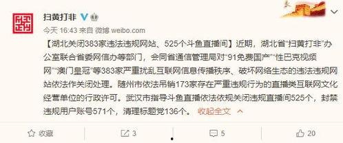 免费国产黄网视频,暗流涌动的网络迷雾  第3张
